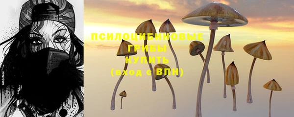 альфа пвп Горно-Алтайск