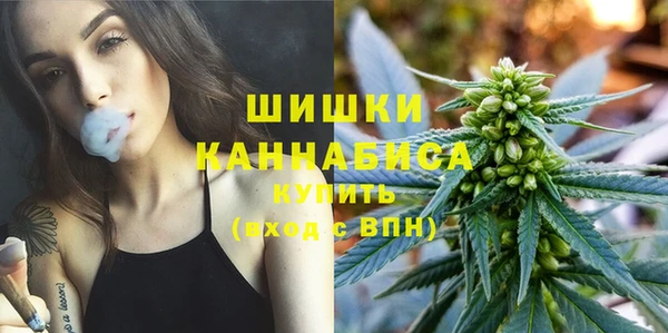 альфа пвп Горно-Алтайск