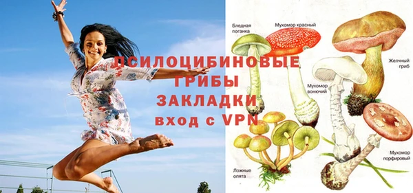 альфа пвп Горно-Алтайск