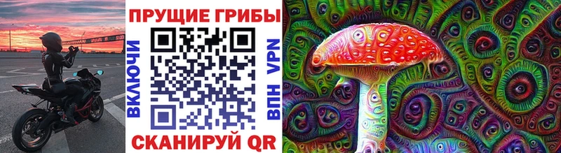 где можно купить   Ессентукская  Псилоцибиновые грибы Psilocybine cubensis 